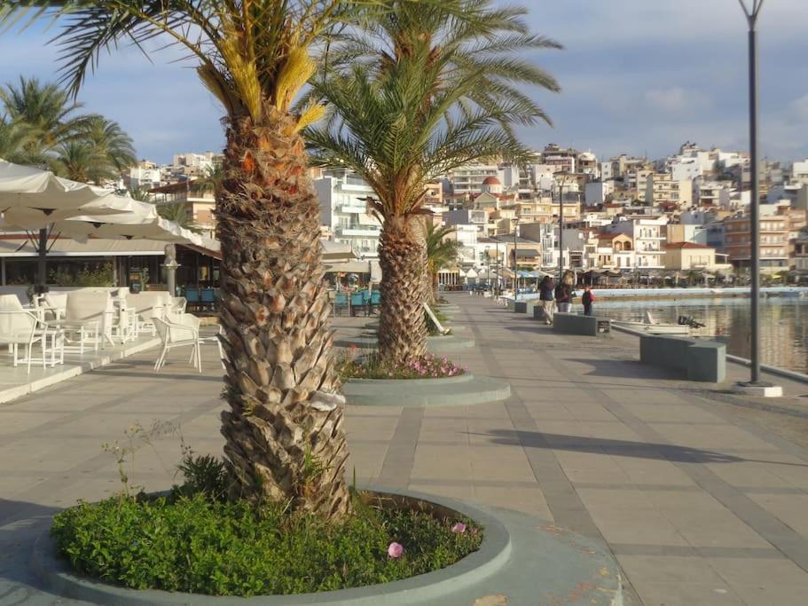 Seashell Apartment Sea View, Castle View 200Metres From The Beach Sitia (Crete) Exterior foto